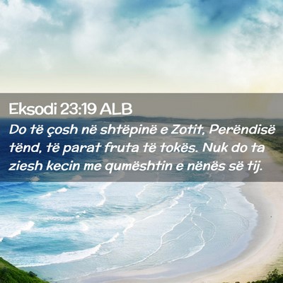 Picture 02 - Eksodi 23:19 ALB - Do të çosh në shtëpinë e Zotit, Perëndisë - Bible Verse Picture