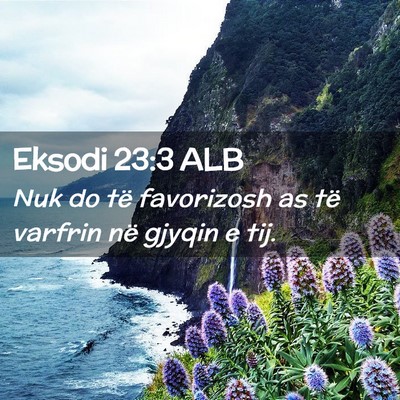 Picture 02 - Eksodi 23:3 ALB - Nuk do të favorizosh as të varfrin në gjyqin e - Bible Verse Picture
