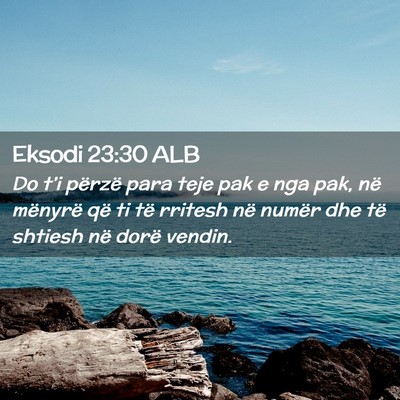 Picture 02 - Eksodi 23:30 ALB - Do t’i përzë para teje pak e nga pak, në - Bible Verse Picture