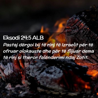 Picture 02 - Eksodi 24:5 ALB - Pastaj dërgoi bij të rinj të Izraelit për të - Bible Verse Picture