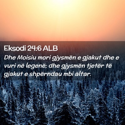 Picture 02 - Eksodi 24:6 ALB - Dhe Moisiu mori gjysmën e gjakut dhe e vuri në - Bible Verse Picture