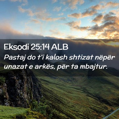 Picture 02 - Eksodi 25:14 ALB - Pastaj do t’i kalosh shtizat nëpër unazat e - Bible Verse Picture