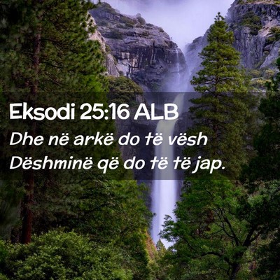 Picture 02 - Eksodi 25:16 ALB - Dhe në arkë do të vësh Dëshminë që do të - Bible Verse Picture