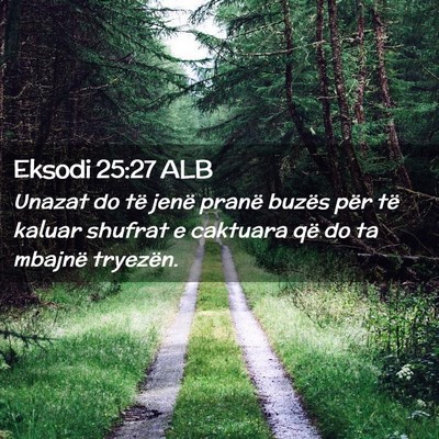 Picture 02 - Eksodi 25:27 ALB - Unazat do të jenë pranë buzës për të kaluar - Bible Verse Picture