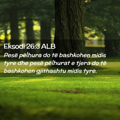 Picture 02 - Eksodi 26:3 ALB - Pesë pëlhura do të bashkohen midis tyre dhe - Bible Verse Picture