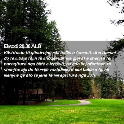 Picture 02 - Eksodi 28:38 ALB - Kështu do të qëndrojnë mbi ballin e Aaronit, - Bible Verse Picture