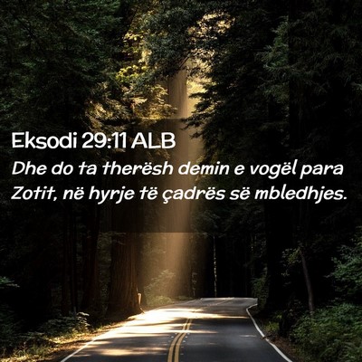Picture 02 - Eksodi 29:11 ALB - Dhe do ta therësh demin e vogël para Zotit, në - Bible Verse Picture