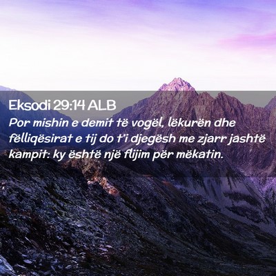 Picture 02 - Eksodi 29:14 ALB - Por mishin e demit të vogël, lëkurën dhe - Bible Verse Picture