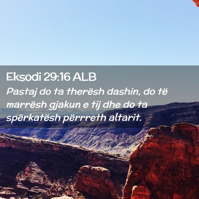 Picture 02 - Eksodi 29:16 ALB - Pastaj do ta therësh dashin, do të marrësh - Bible Verse Picture