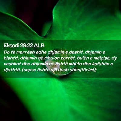 Picture 02 - Eksodi 29:22 ALB - Do të marrësh edhe dhjamin e dashit, dhjamin e - Bible Verse Picture