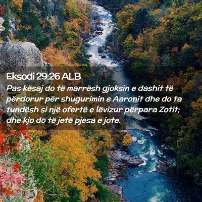 Picture 02 - Eksodi 29:26 ALB - Pas kësaj do të marrësh gjoksin e dashit të - Bible Verse Picture