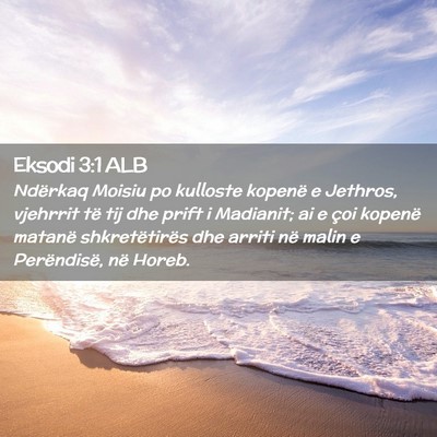 Picture 02 - Eksodi 3:1 ALB - Ndërkaq Moisiu po kulloste kopenë e Jethros, - Bible Verse Picture