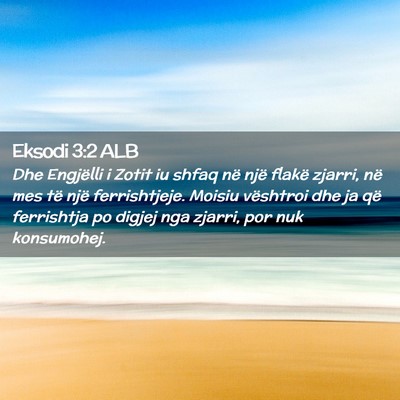 Picture 02 - Eksodi 3:2 ALB - Dhe Engjëlli i Zotit iu shfaq në një flakë - Bible Verse Picture