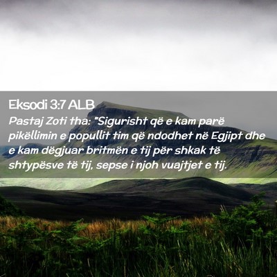 Picture 02 - Eksodi 3:7 ALB - Pastaj Zoti tha: 