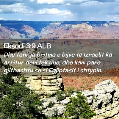 Picture 02 - Eksodi 3:9 ALB - Dhe tani, ja britma e bijve të Izraelit ka - Bible Verse Picture