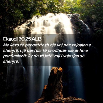 Picture 02 - Eksodi 30:25 ALB - Me këto të përgatitësh një vaj për vajosjen - Bible Verse Picture