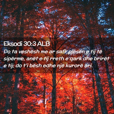 Picture 02 - Eksodi 30:3 ALB - Do ta veshësh me ar safi: pjesën e tij të - Bible Verse Picture