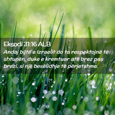 Picture 02 - Eksodi 31:16 ALB - Andaj bijtë e Izraelit do ta respektojnë të - Bible Verse Picture