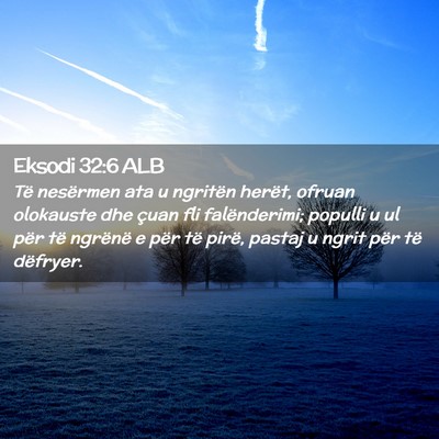 Picture 02 - Eksodi 32:6 ALB - Të nesërmen ata u ngritën herët, ofruan - Bible Verse Picture