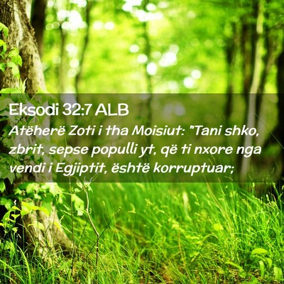 Picture 02 - Eksodi 32:7 ALB - Atëherë Zoti i tha Moisiut: 
