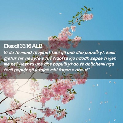 Picture 02 - Eksodi 33:16 ALB - Si do të mund të njihet tani që unë dhe - Bible Verse Picture