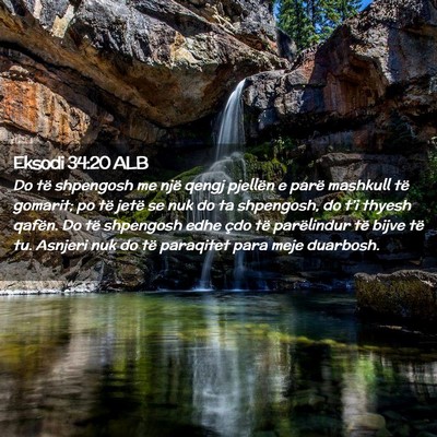 Picture 02 - Eksodi 34:20 ALB - Do të shpengosh me një qengj pjellën e parë - Bible Verse Picture