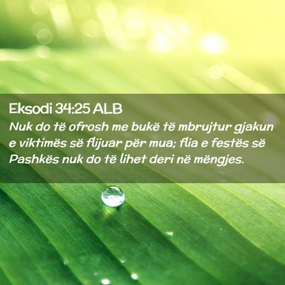 Picture 02 - Eksodi 34:25 ALB - Nuk do të ofrosh me bukë të mbrujtur gjakun e - Bible Verse Picture