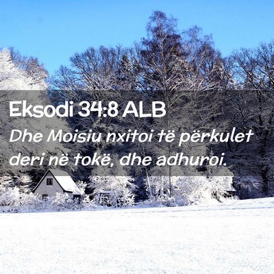 Picture 02 - Eksodi 34:8 ALB - Dhe Moisiu nxitoi të përkulet deri në tokë, - Bible Verse Picture