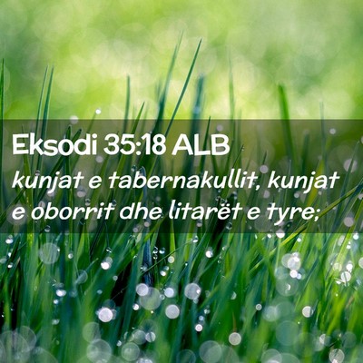 Picture 02 - Eksodi 35:18 ALB - kunjat e tabernakullit, kunjat e oborrit dhe - Bible Verse Picture
