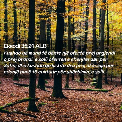 Picture 02 - Eksodi 35:24 ALB - Kushdo që mund të bënte një ofertë prej - Bible Verse Picture
