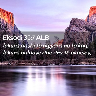 Picture 02 - Eksodi 35:7 ALB - lëkura dashi të ngjyera në të kuq, lëkura - Bible Verse Picture