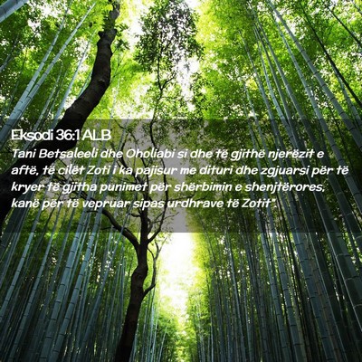 Picture 02 - Eksodi 36:1 ALB - Tani Betsaleeli dhe Oholiabi si dhe të gjithë - Bible Verse Picture