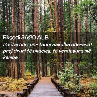 Picture 02 - Eksodi 36:20 ALB - Pastaj bëri për tabernakullin dërrasat prej - Bible Verse Picture