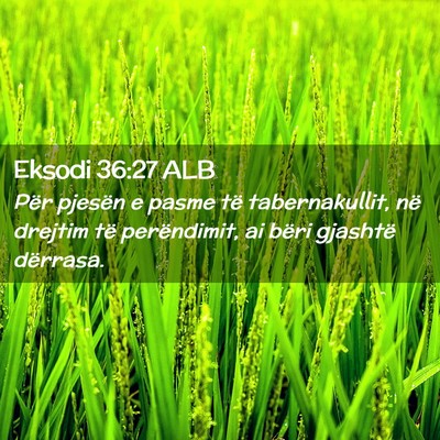 Picture 02 - Eksodi 36:27 ALB - Për pjesën e pasme të tabernakullit, në - Bible Verse Picture