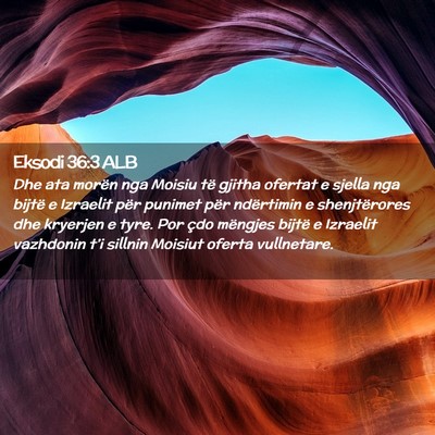Picture 02 - Eksodi 36:3 ALB - Dhe ata morën nga Moisiu të gjitha ofertat e - Bible Verse Picture