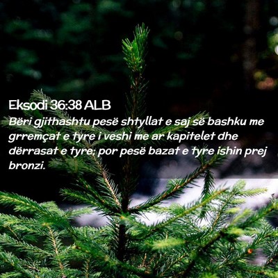 Picture 02 - Eksodi 36:38 ALB - Bëri gjithashtu pesë shtyllat e saj së bashku - Bible Verse Picture
