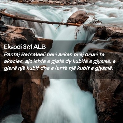 Picture 02 - Eksodi 37:1 ALB - Pastaj Betsaleeli bëri arkën prej druri të - Bible Verse Picture