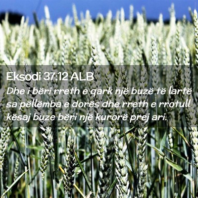 Picture 02 - Eksodi 37:12 ALB - Dhe i bëri rreth e qark një buzë të lartë sa - Bible Verse Picture