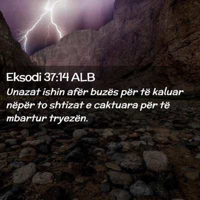 Picture 02 - Eksodi 37:14 ALB - Unazat ishin afër buzës për të kaluar nëpër - Bible Verse Picture