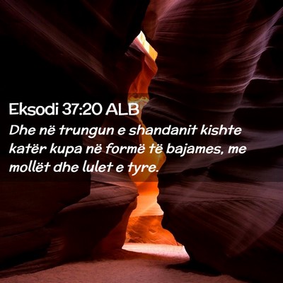 Picture 02 - Eksodi 37:20 ALB - Dhe në trungun e shandanit kishte katër kupa - Bible Verse Picture