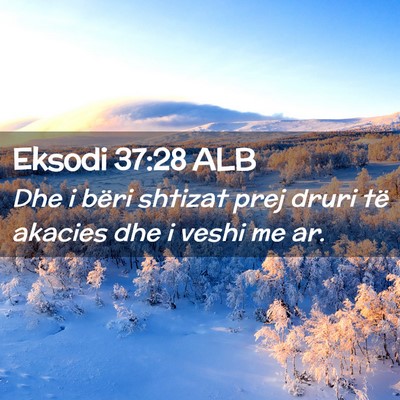 Picture 02 - Eksodi 37:28 ALB - Dhe i bëri shtizat prej druri të akacies dhe i - Bible Verse Picture