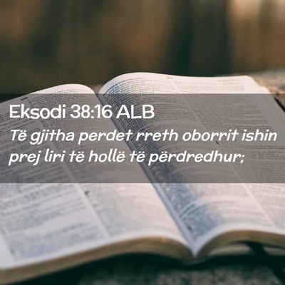 Picture 02 - Eksodi 38:16 ALB - Të gjitha perdet rreth oborrit ishin prej liri - Bible Verse Picture