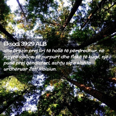Picture 02 - Eksodi 39:29 ALB - dhe brezin prej liri të hollë të përdredhur, - Bible Verse Picture