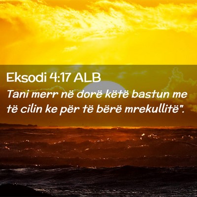 Picture 02 - Eksodi 4:17 ALB - Tani merr në dorë këtë bastun me të cilin ke - Bible Verse Picture