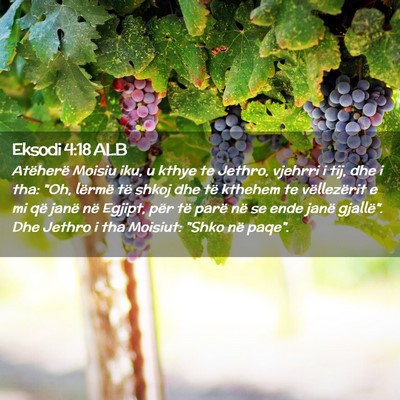 Picture 02 - Eksodi 4:18 ALB - Atëherë Moisiu iku, u kthye te Jethro, vjehrri - Bible Verse Picture