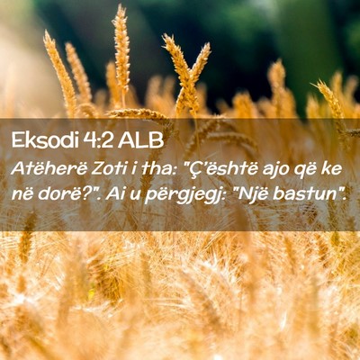 Picture 02 - Eksodi 4:2 ALB - Atëherë Zoti i tha: 
