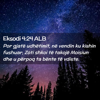Picture 02 - Eksodi 4:24 ALB - Por gjatë udhëtimit, në vendin ku kishin - Bible Verse Picture