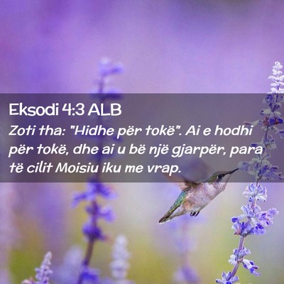 Picture 02 - Eksodi 4:3 ALB - Zoti tha: 