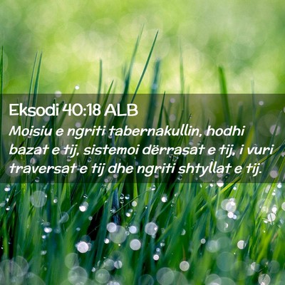 Picture 02 - Eksodi 40:18 ALB - Moisiu e ngriti tabernakullin, hodhi bazat e tij, - Bible Verse Picture