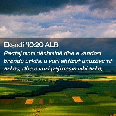 Picture 02 - Eksodi 40:20 ALB - Pastaj mori dëshminë dhe e vendosi brenda - Bible Verse Picture